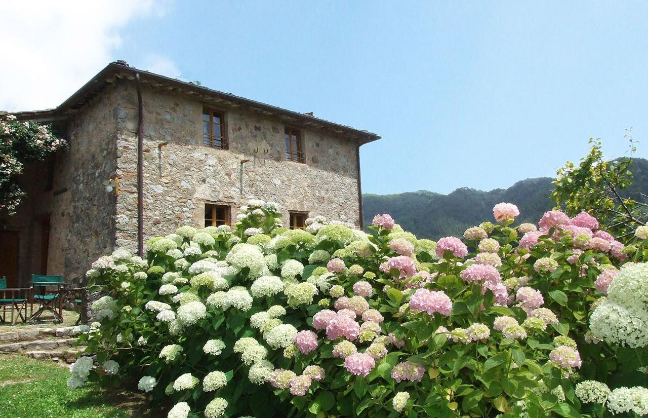 Villa Bottino By Salogi Villas San Martino in Freddana Exterior photo